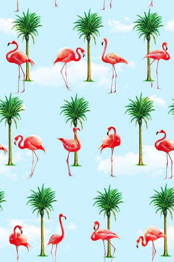 火烈鸟印花华亿平台图片