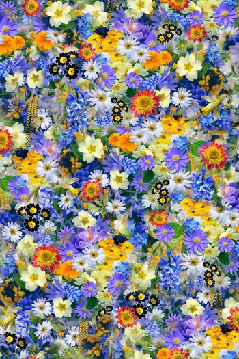 371886-清新满版花卉