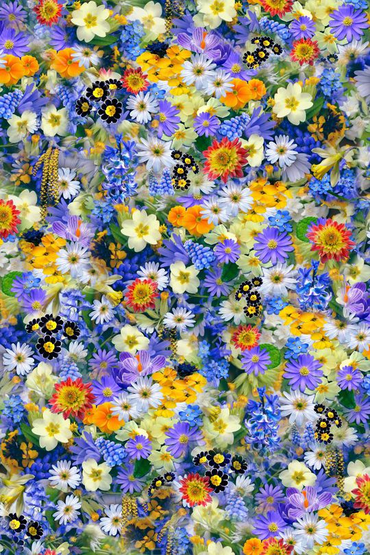 清新印花华亿平台图片