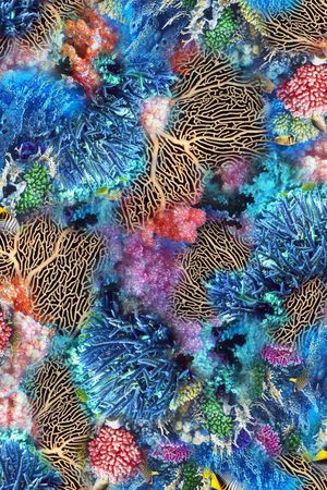 海洋生物印花华亿平台图片