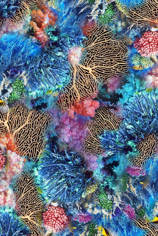 海洋生物印花华亿平台图片