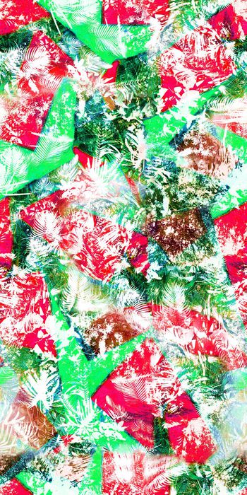 371911-热带雨林图片曝光