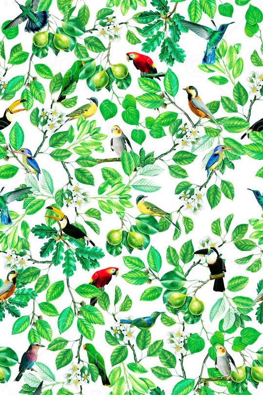 热带植物印花华亿平台图片