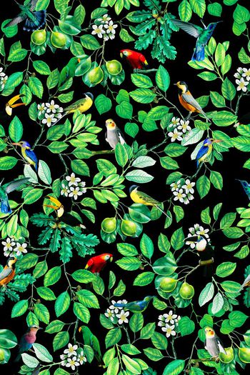 372019-热带风情花鸟纹