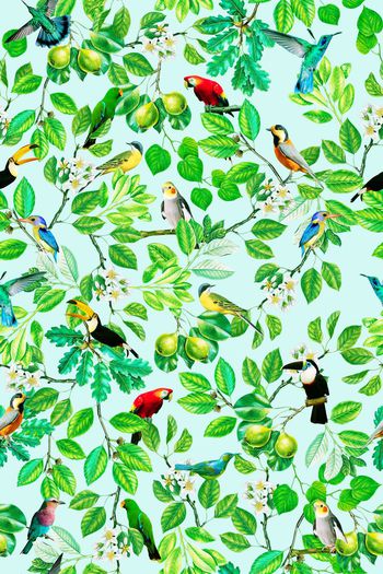 372020-热带风情花鸟纹