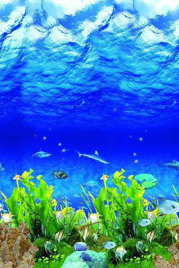 照片景观印花华亿平台图片