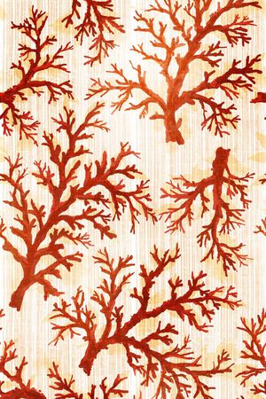 流行时尚印花华亿平台图片