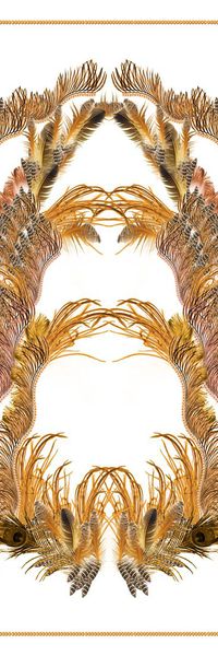 丝巾印花华亿平台图片