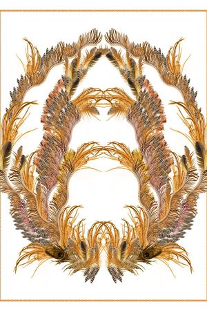 丝巾印花华亿平台图片