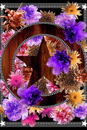 大牌丝巾印花华亿平台图片