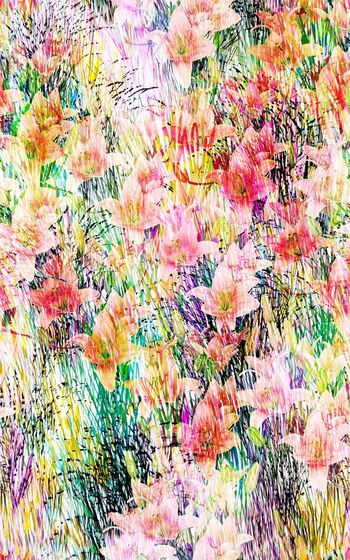 372132-草丛中的百合花艺术花卉