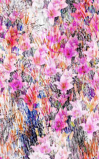 372133-草丛中的百合花艺术花卉