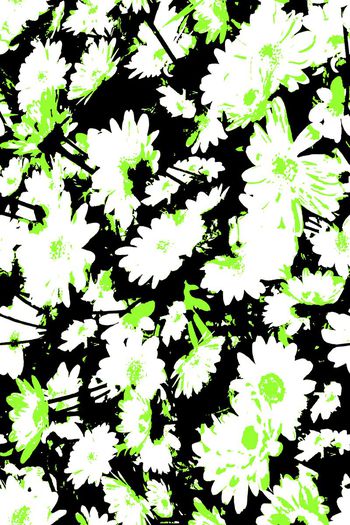 小雏菊印花华亿平台图片