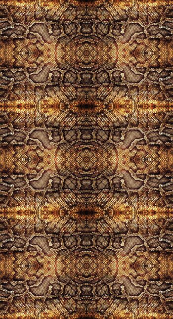 372311-逼真金色蛇皮肌理皮装男装女装直筒裤