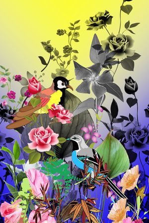 服装印花华亿平台图片