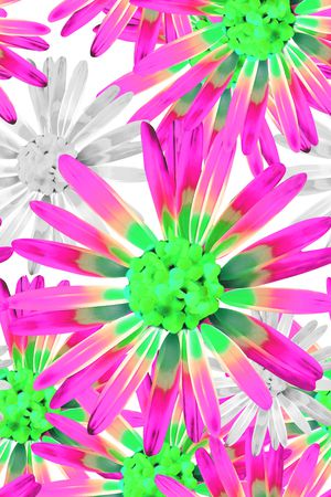 雏菊  花卉印花华亿平台图片