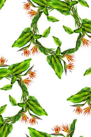 花卉  热带植物印花华亿平台图片