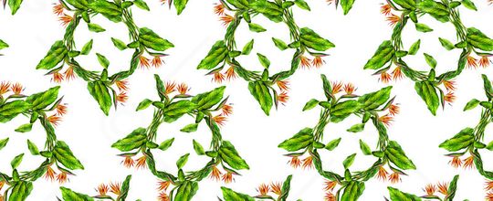 花卉  热带植物印花华亿平台图片