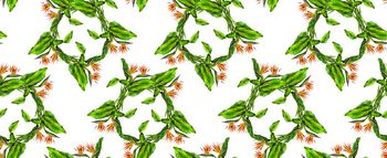 花卉  热带植物印花华亿平台图片