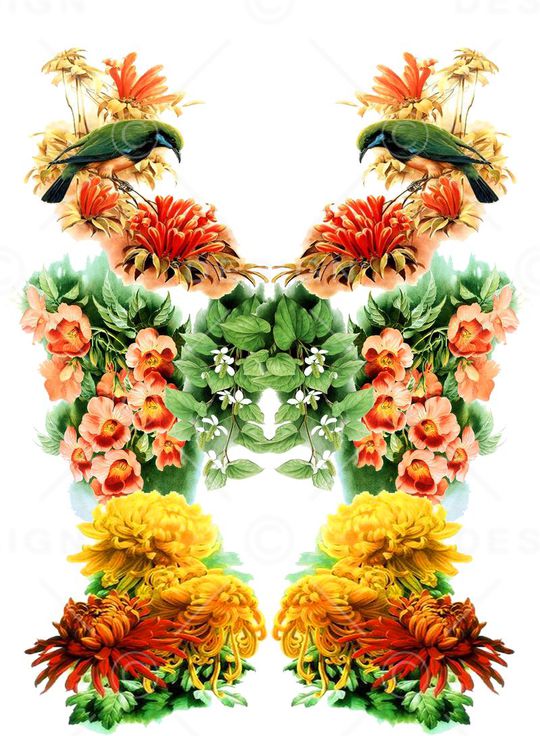 花鸟印花华亿平台图片