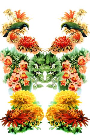 花鸟印花华亿平台图片