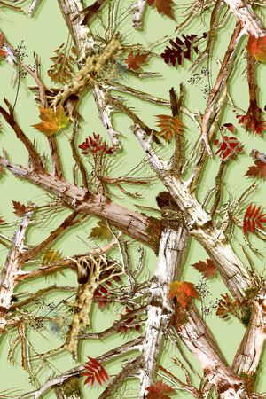 树枝印花华亿平台图片