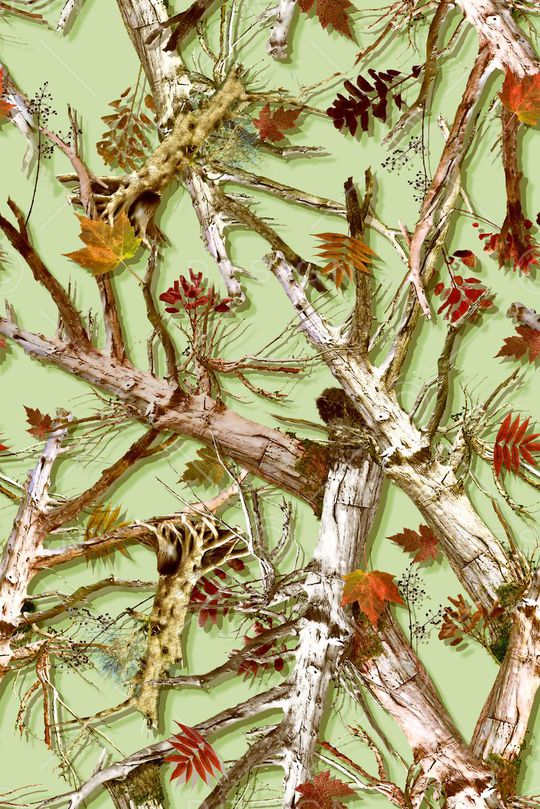 树枝印花华亿平台图片