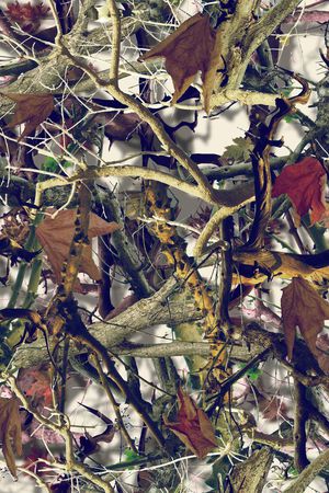 树枝印花华亿平台图片