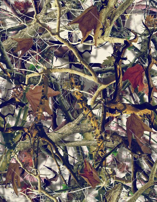 树枝印花华亿平台图片