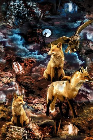 动物印花华亿平台图片