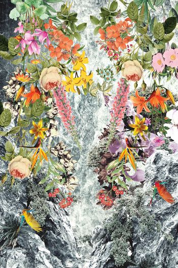 花卉  小鸟 岩石印花华亿平台图片