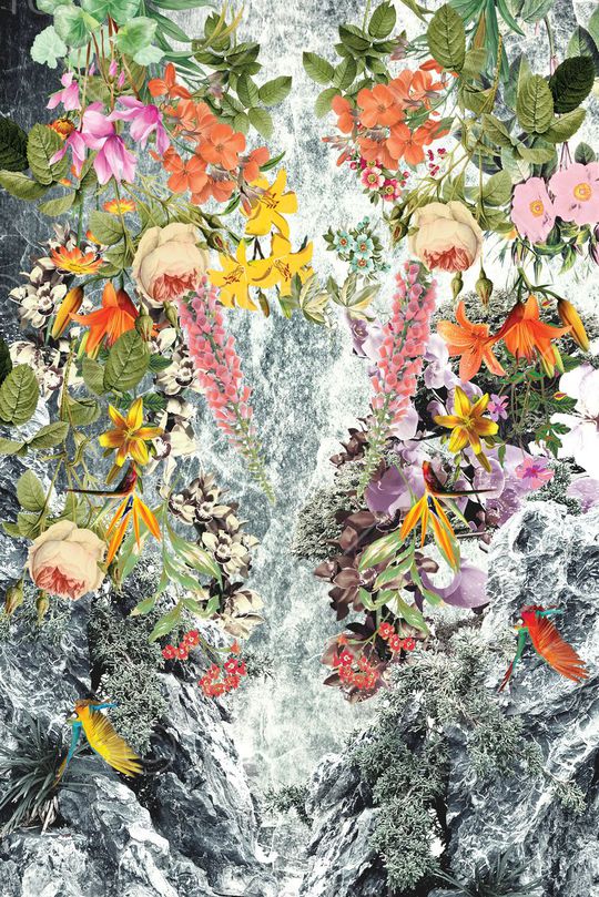 花卉  小鸟 岩石印花华亿平台图片