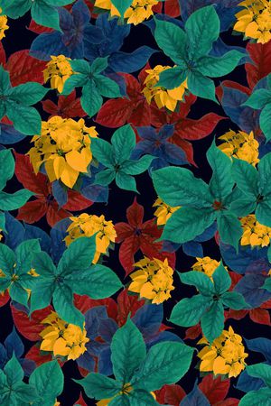 热带风情印花华亿平台图片