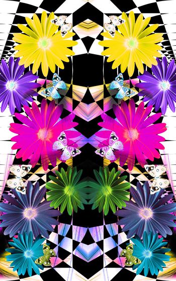 372831-几何雏菊多彩蝴蝶花卉组合