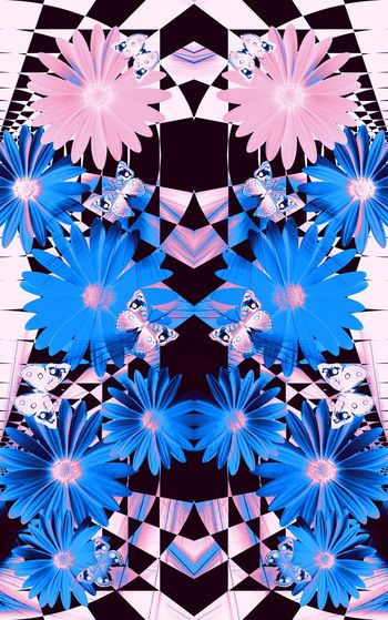 372832-几何雏菊多彩蝴蝶花卉组合