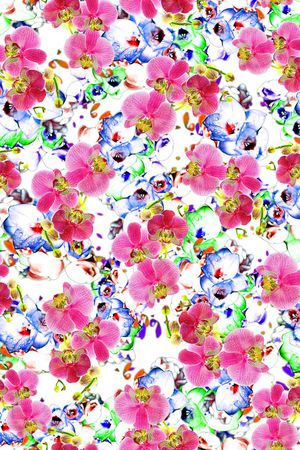 蝴蝶兰印花华亿平台图片