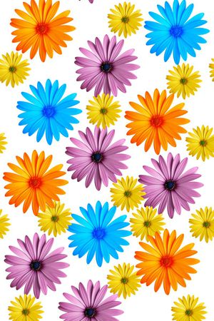 缤纷印花华亿平台图片