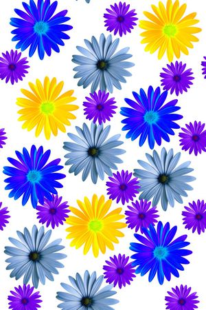 缤纷印花华亿平台图片