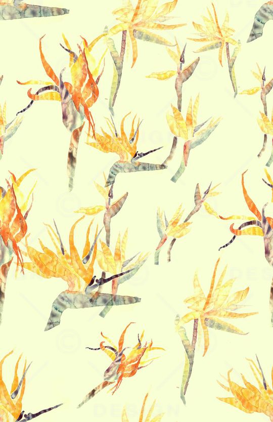 热带印花华亿平台图片