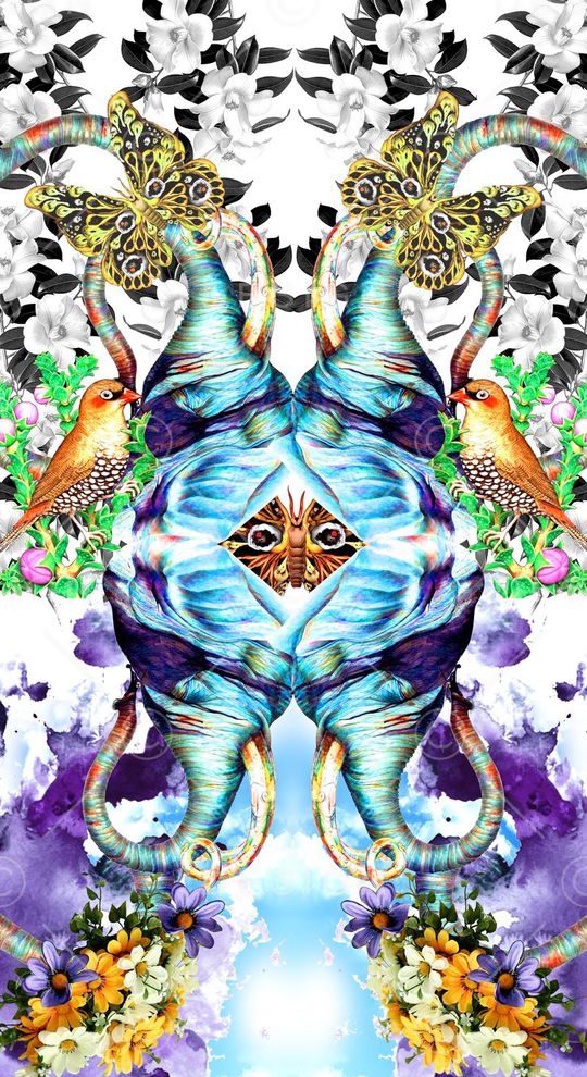 鸟印花华亿平台图片