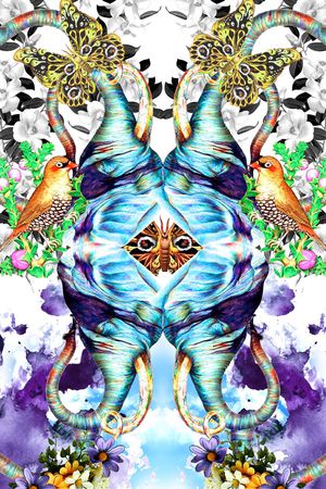 鸟印花华亿平台图片