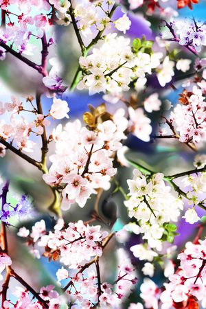 梅花印花华亿平台图片