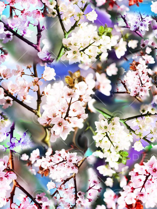 梅花印花华亿平台图片