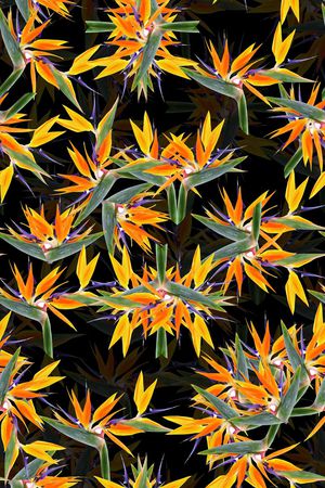 热带印花华亿平台图片