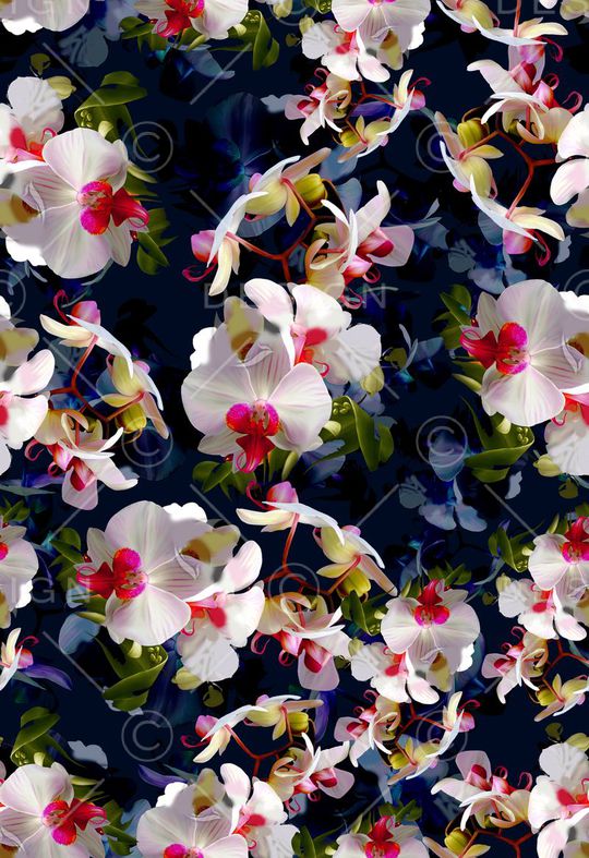 黑底花印花华亿平台图片