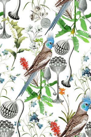 热带鸟印花华亿平台图片