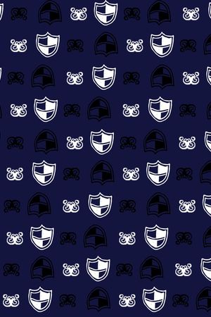 男装盾牌印花华亿平台图片