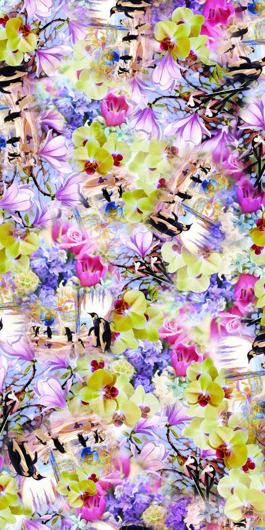 时尚印花华亿平台图片