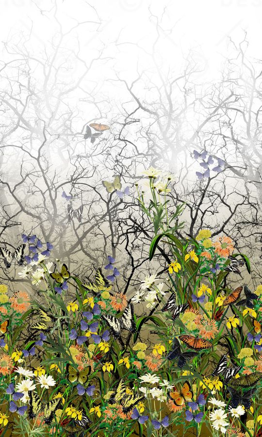 热带印花华亿平台图片