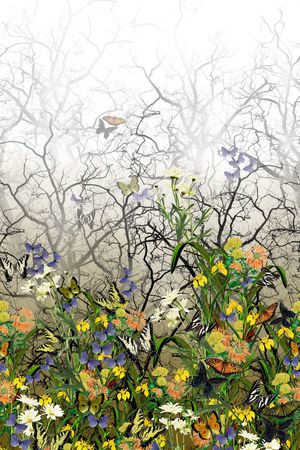 热带印花华亿平台图片